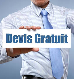 Devis gratuit et interventions dans la ville en IDF